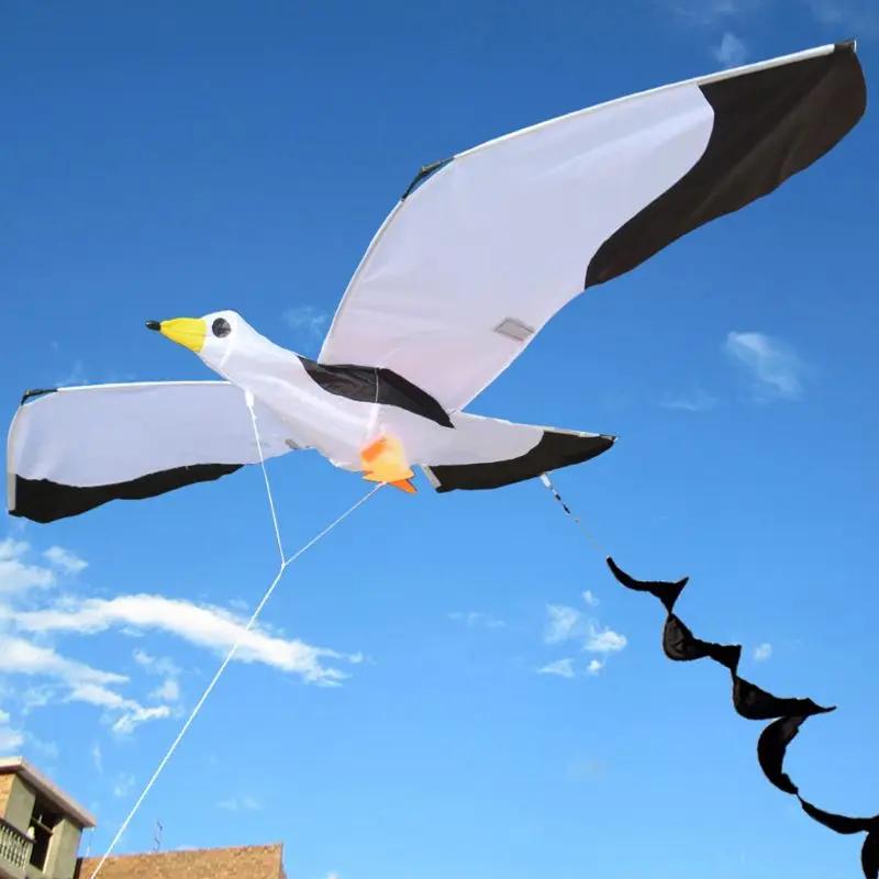 3D ÷Ǯ Seagull Kite Ʈ    ̿,  , ְ , ߿  